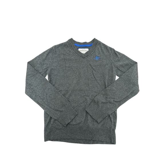 Aeropostale Mens Sz L Gray V-Neck Sweater With Blue Logo - Picture 1 of 6